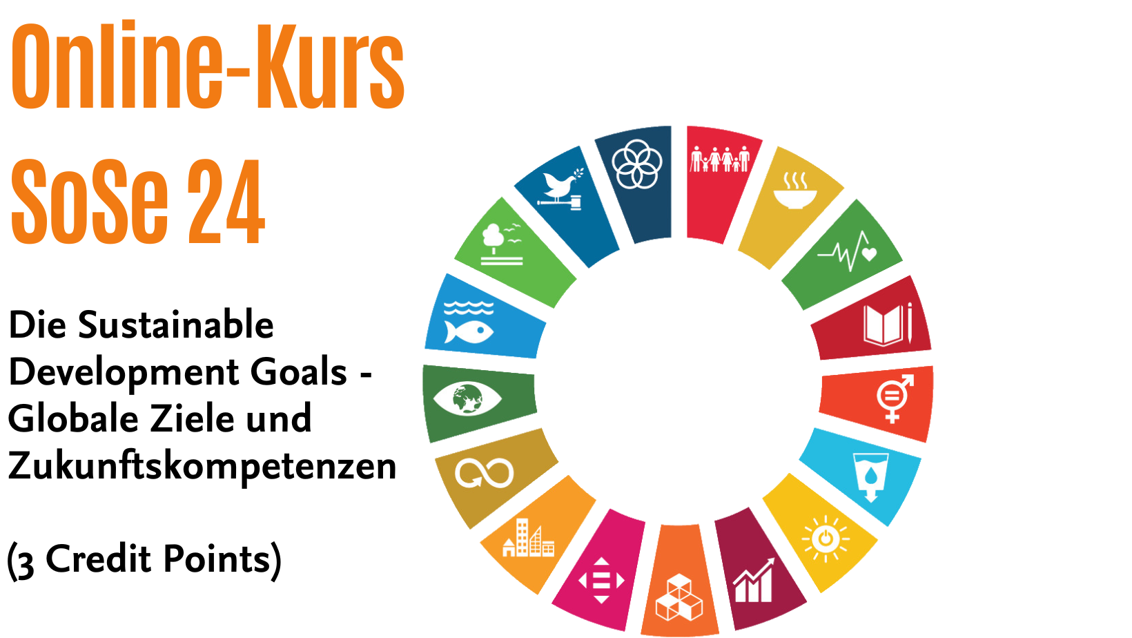 SDG-Kurs SoSe24