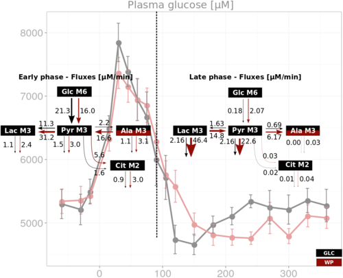 Graphical Abtract Wheat Flux Study