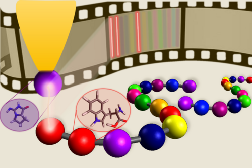 Biomoleküle im Nanomaßstab identifiziert