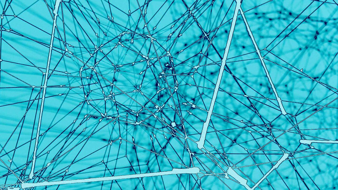 SAiL Grant - Strengthening and Developing International Teaching