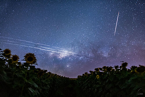 Starlink Satellite Trails over Brazil - NASA's Astronomy Picture of the Day, December 10, 2019. 