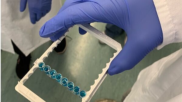 Schüler zeigt ELISA