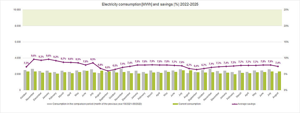 Electricity consumption and savings 2022-2025