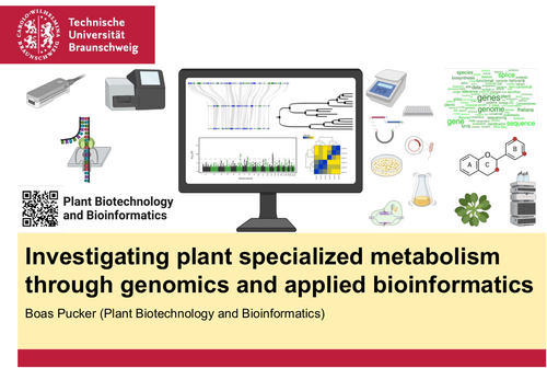 Investigating plant specialized metabolism through genomics and applied bioinformatics