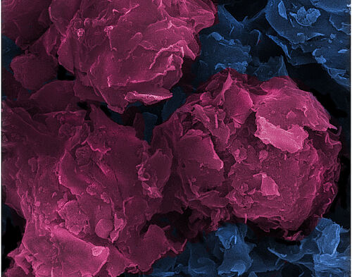 Institut für Straßenwesen