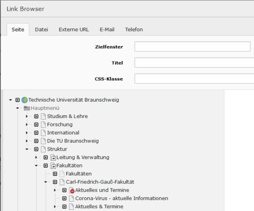 Screenshot des Linkbrowsers des TYPO3-Backends