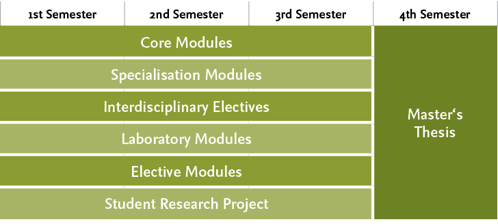 Structure of the Master's programme Biochemical and Chemical Engineering