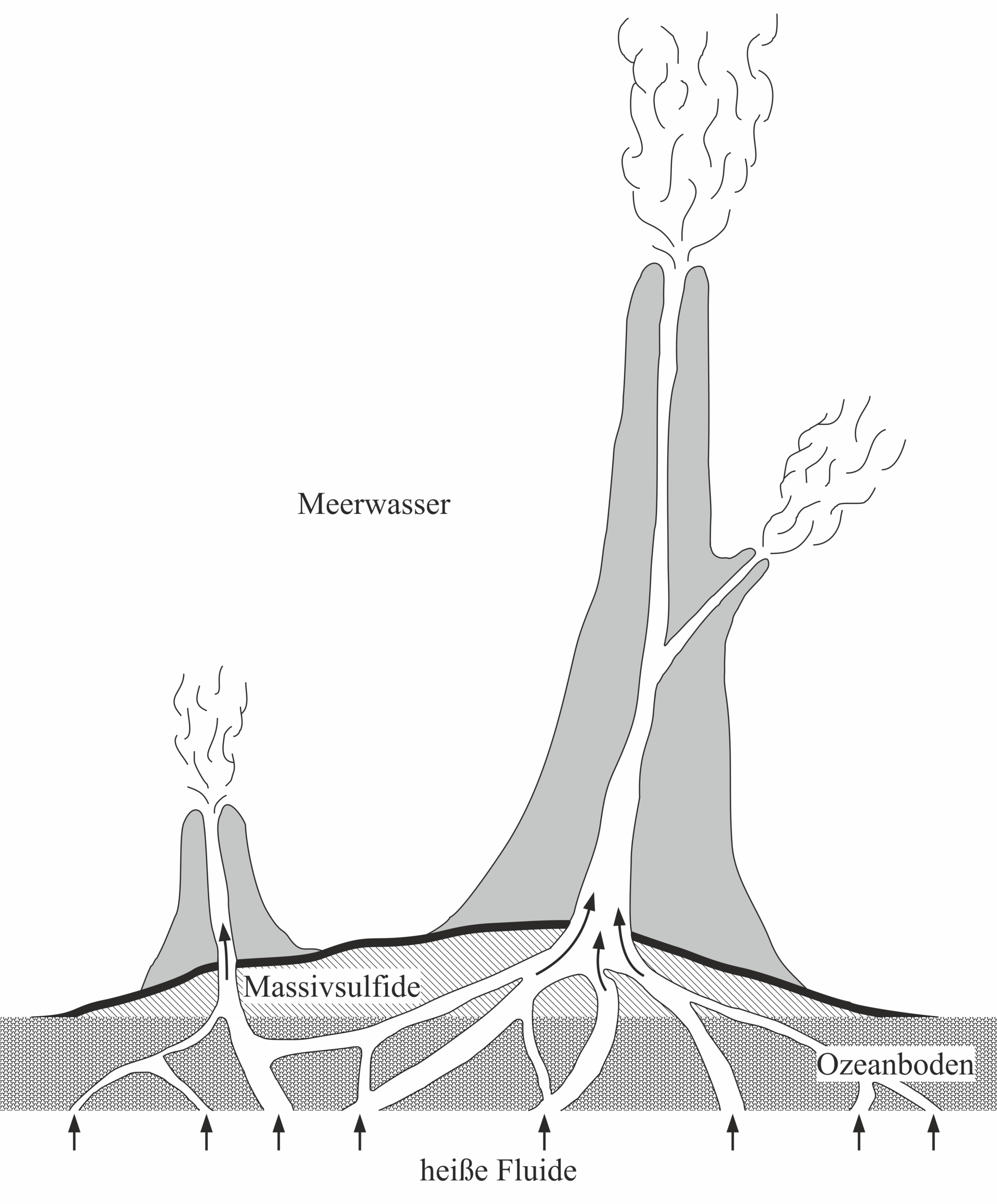 Bei Schwarzen Rauchern dringen durch den Ozeanboden heiße Fluide und fällen beim Kontakt mit dem kalten Meerwasser Sulfide ab. In der Folge bilden sich Schlotstrukturen und Lagerstätten von Massivsulfiden aus.