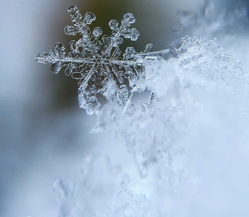 Winterbild