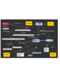 Organigraph Zusammenarbeit bei Videokonferenzen  TU Braunschweig und DFN