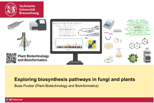 Exploring biosynthesis pathways in fungi and plants