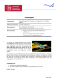 Ausschreibung Videounterstützung