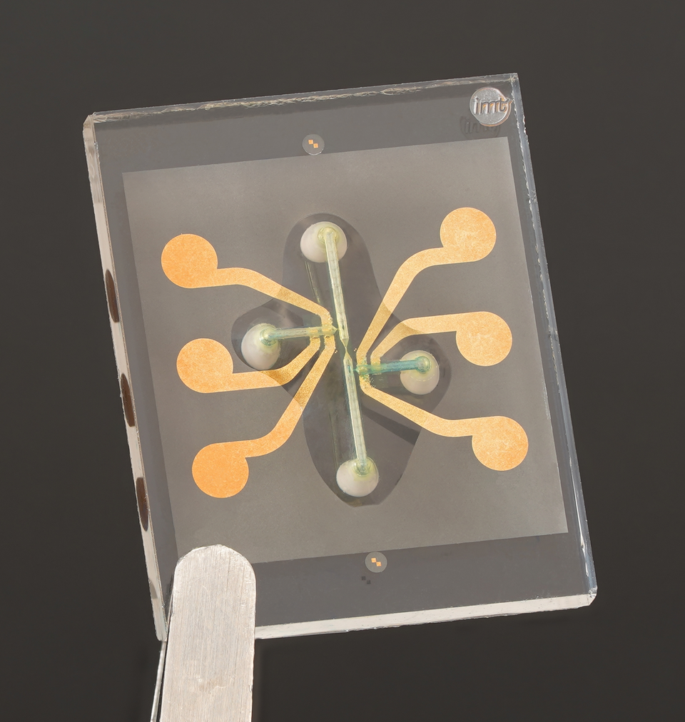 Quanten- und Nanometrologie - Nanofluidik und Partikelmanipulation