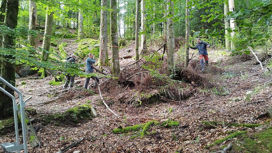 Isodrones/TEE Probenahme Frankreich