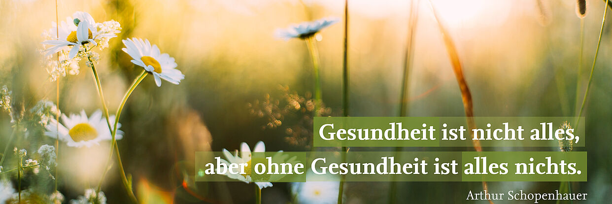 Gesundheit Schopenhauer Sommer Blumen 