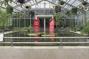 Zu sehen ist die Innenansicht des Gewächshauses Victoria.