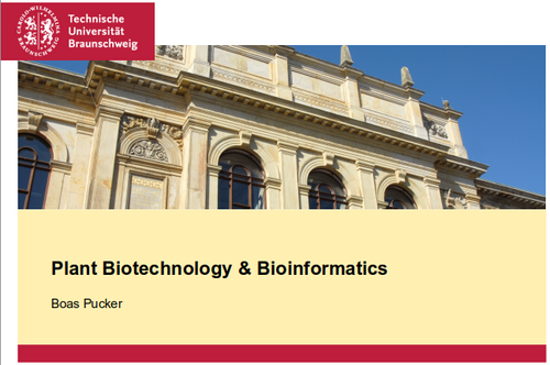 Plant Biotechnology and Bioinformatics