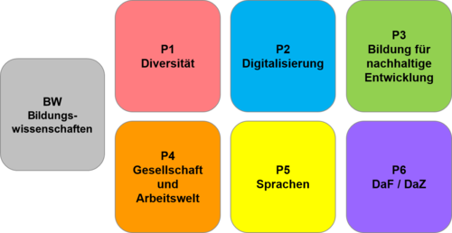 grafische Abbildung der Module, die im Studiengang 1-Fach BA Erziehungswissenschaft belegt werden müssen.