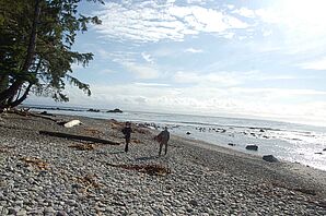 Cobble beach, Vancouver Island