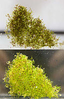 Two pictures of the same aquatic plant Utricularia gibba with a black and a white background. The stems of the plant are growing so dense that they lay over each other. Therefore it all looks like a net. Although the traps of the plant are colored in red.