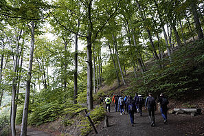 Foto Wanderung auf den Burgberg