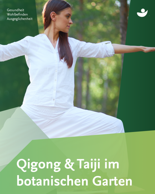 Qigong