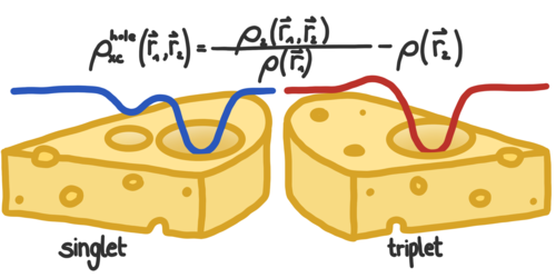 Spin-State Dependence of Exchange-Correlation Holes
