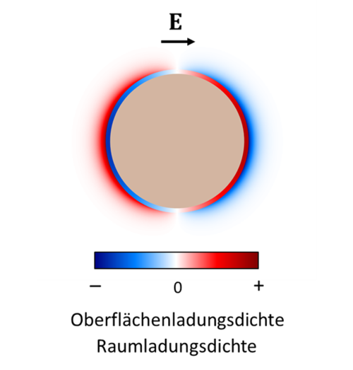 Polarisation der elektrischen Doppelschicht