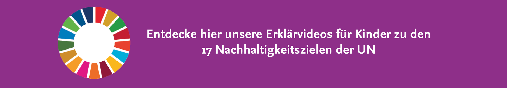 SDG Erklärvideos