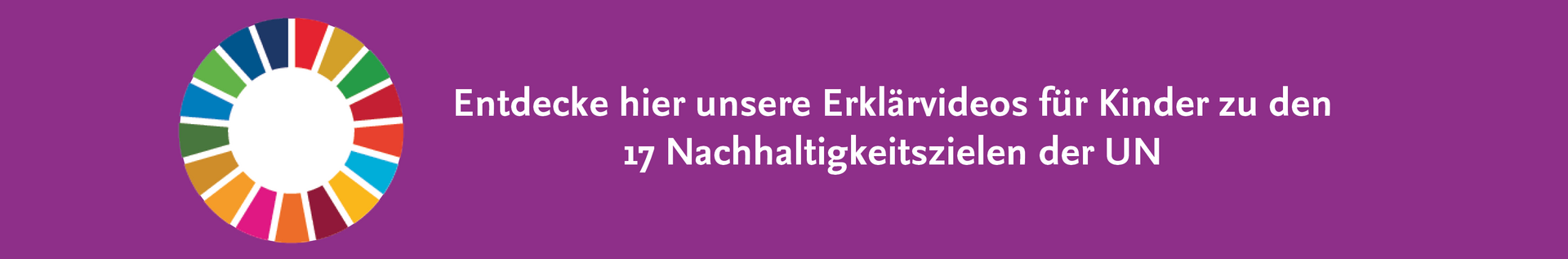 SDG Erklärvideos