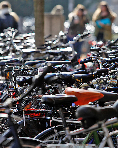 Bikes in front of the Historic Main Building