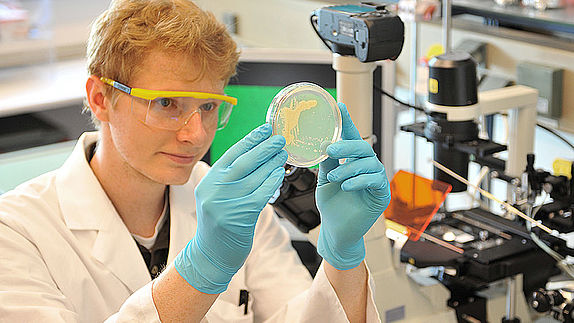 Optische Kontrolle des Wachstums eines Mikroorganismus in einer Petrischale