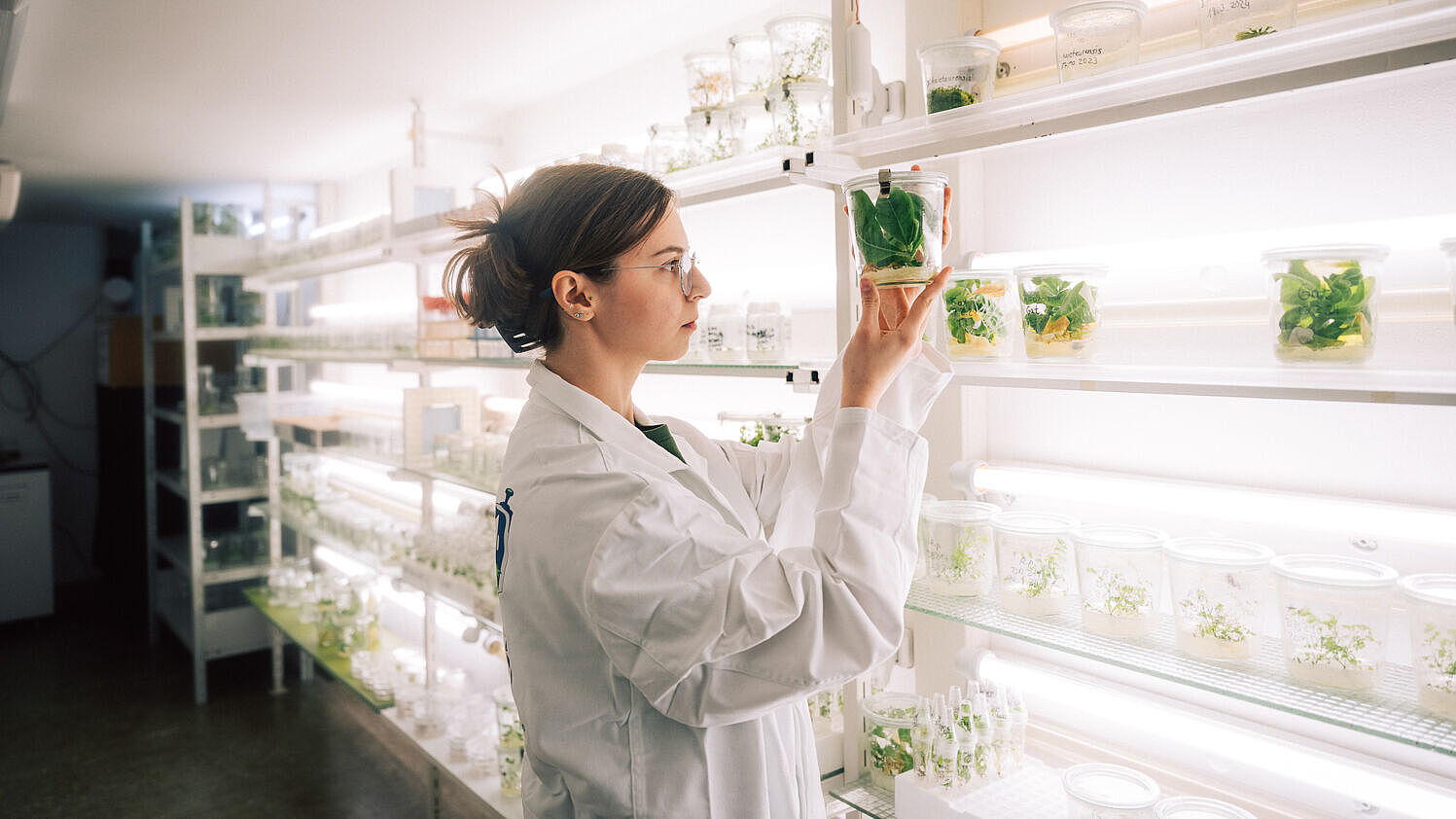 A female student examines some plants in a lab