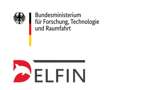 Delfin -  Digitales Elektrodendesign