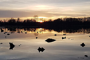 Sonnenuntergang an den Riddagshausener Teichen