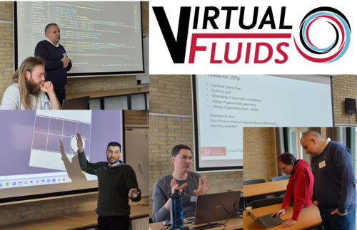 1st International Workshop VirtualFluids