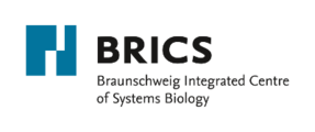 Logo BRICS der TU Braunschweig