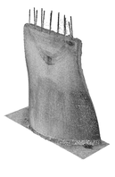 TLS Scan of the finished component