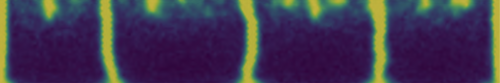 This picture shows phase-field fracture model.