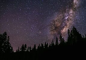 Milchstraße hinter Bäumen