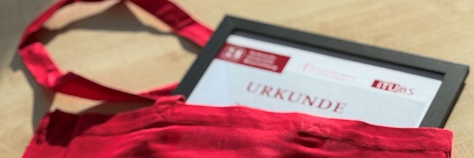 Urkunde TU Lehrpreis
