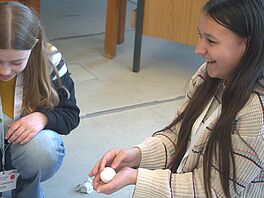 The little passenger successfully survived the fall