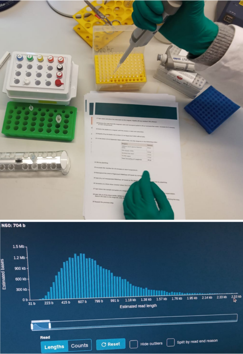 direct RNA sequencing