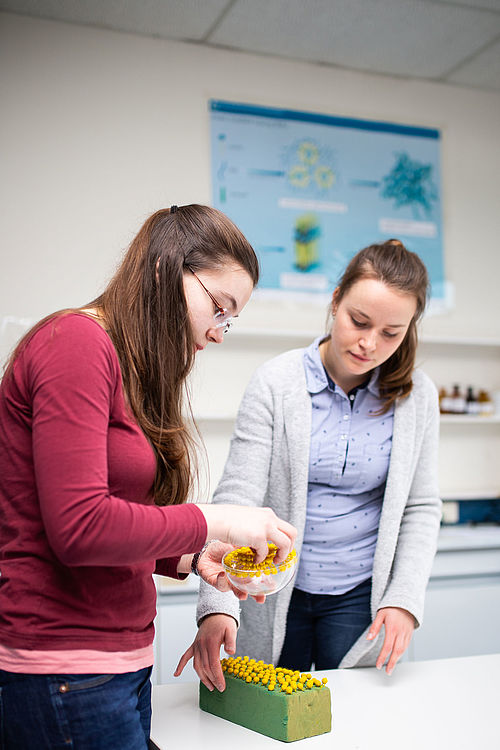 Eine Studentin und eine Lehrende arbeiten an einem chemischen Modell