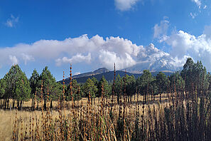 Blick auf einen großen Vulkan bei blauem Himmel und einigen Wolken. Im Vordergrund ist eine Steppenlandschaft.