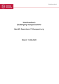 Modulhandbuch BSc