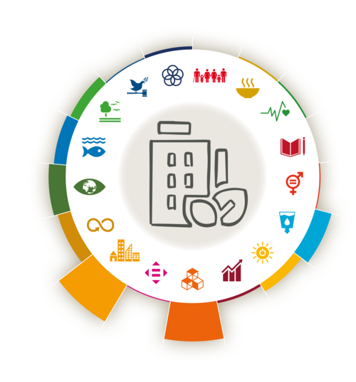 SDG-Schwerpunkte der Fakultät 3