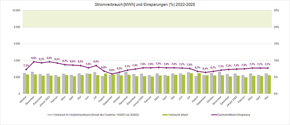 Stromverbrauch und Einsparungen 2022-2025
