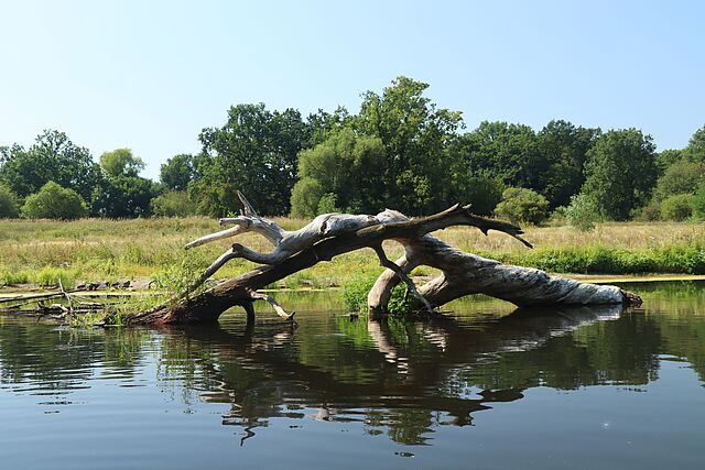 Bauen für die Natur