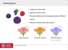Lena' presentation about Data Literacy in Genome Research